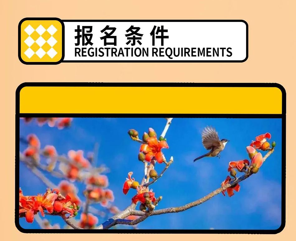 65715ec2c12e0.png